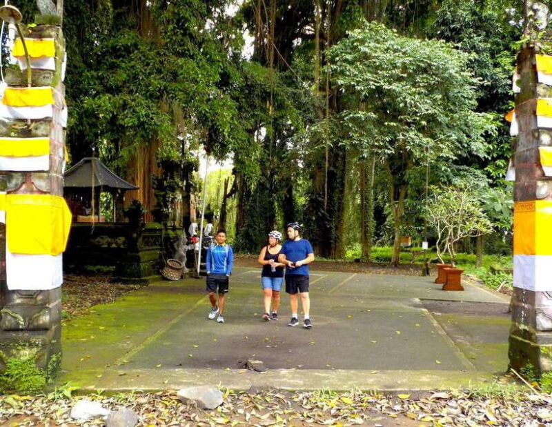 ubud-half-day-tegallalang-electric-cycling-tour