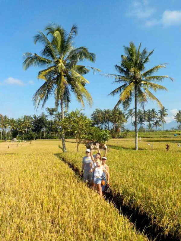 ubud-half-day-tegallalang-electric-cycling-tour