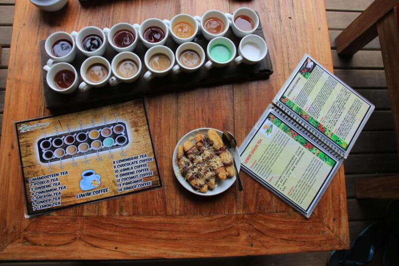 ubud-half-day-tegallalang-electric-cycling-tour