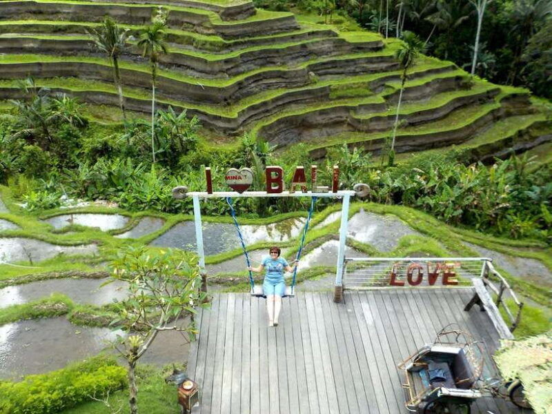 ubud-half-day-tegallalang-electric-cycling-tour