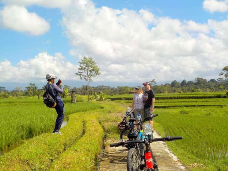 ubud-half-day-tegallalang-electric-cycling-tour