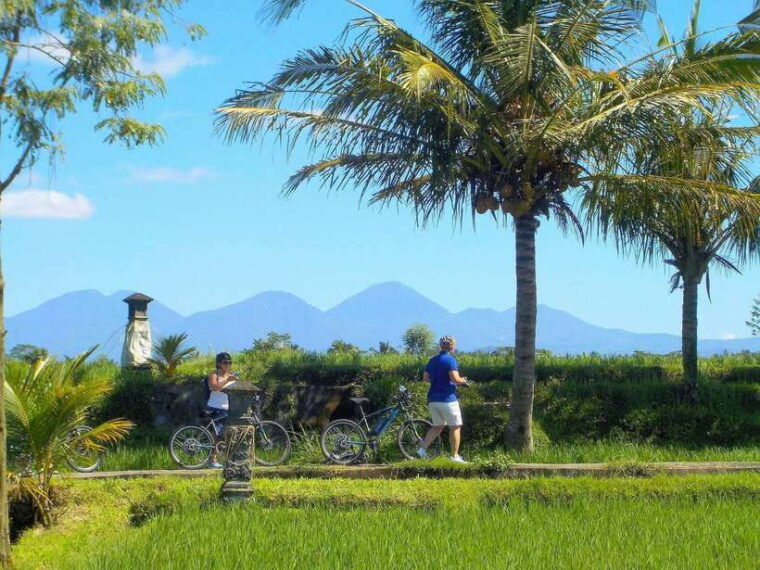 ubud-half-day-tegallalang-electric-cycling-tour
