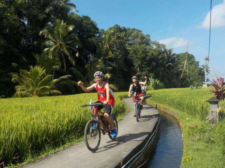 ubud-half-day-tegallalang-electric-cycling-tour