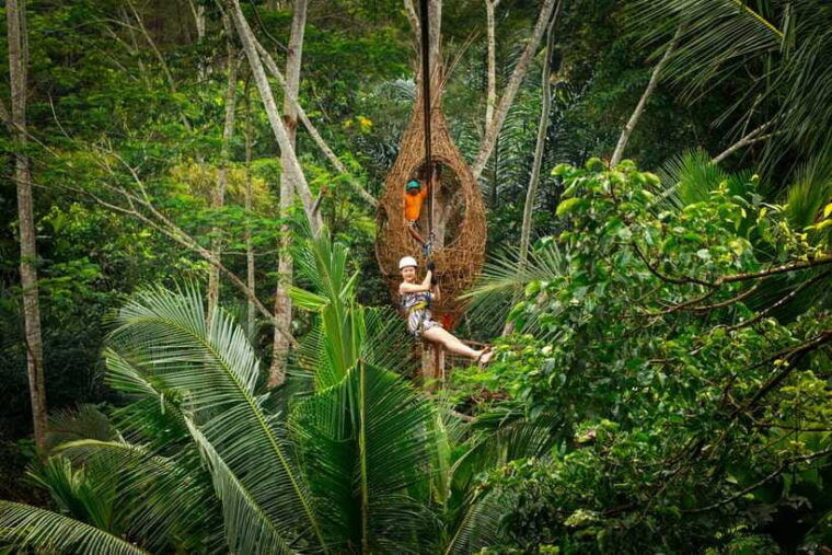 ubud-half-day-zipline-and-jungle-swing-adventure