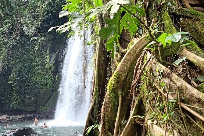 Ubud Half Day Zipline and Jungle Swing - Exploring Ubud’s Waterfalls and Refreshing Breaks