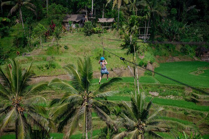 Ubud Half Day Zipline and Jungle Swing - Authentic Insights from Reviewers