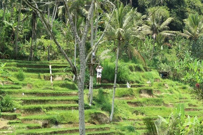 Ubud Half Day Zipline and Jungle Swing - The Sum Up: Who Will Love This Tour?