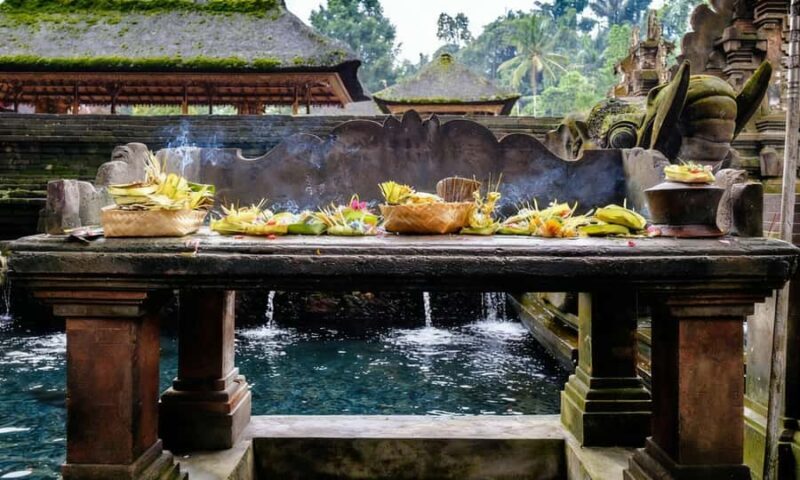 Ubud Harmony & Balance: Temples, Rice Fields & Waterfalls - Transport, Timing, and Overall Experience