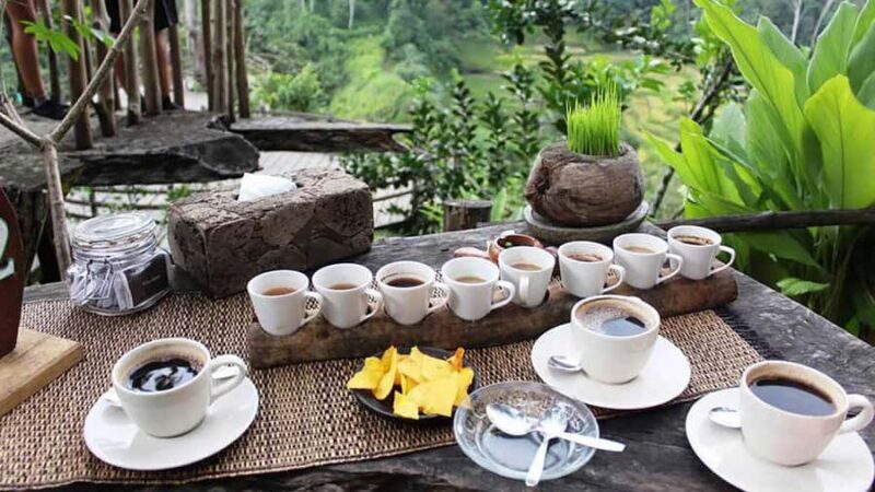 Ubud Healing Journey Experience - All Inclusive - Exploring the Itinerary in Detail