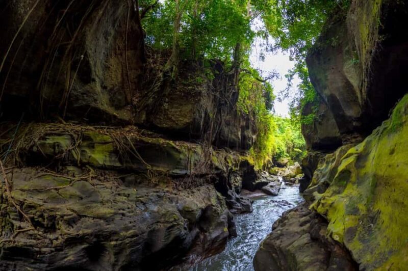Ubud: Hidden Canyon Beji Guwang Guided Tour - Final Words