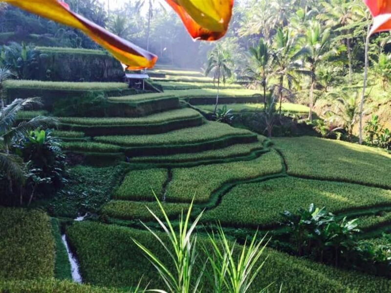 Ubud: Hidden Waterfall, Rice Terrace & Ulun Danu Temple Tour - Jatiluwih Rice Terraces: A UNESCO World Heritage Site