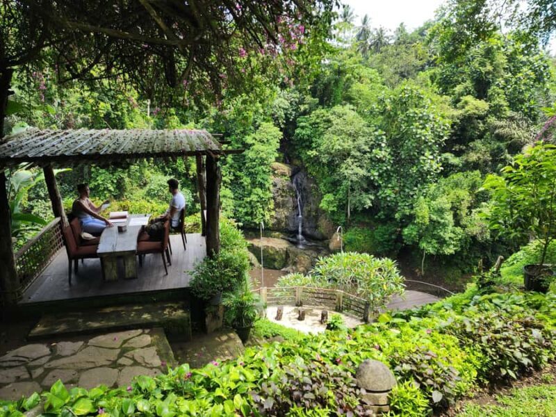 Ubud: Hidden Waterfalls, Rice terrace & Cliffside Dining - Ubud: Hidden Waterfalls, Rice Terrace & Cliffside Dining – A Genuine Bali Experience