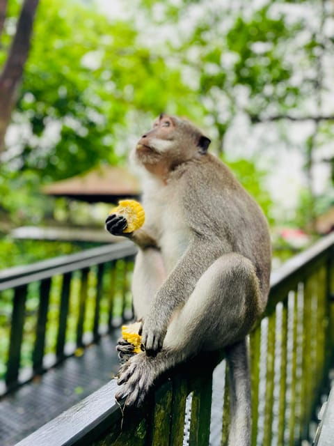 ubud-hidden-waterfalls-rice-terrace-tours