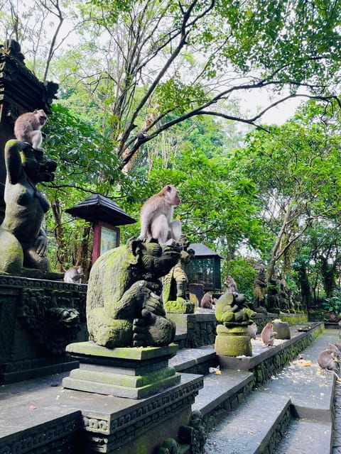 ubud-hidden-waterfalls-rice-terrace-tours