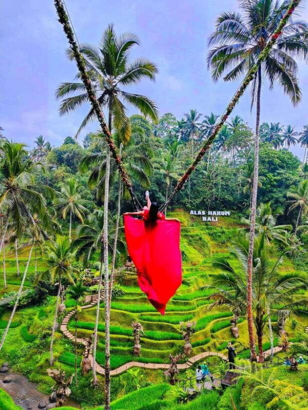 ubud-highlight-best-of-ubud-day-tour