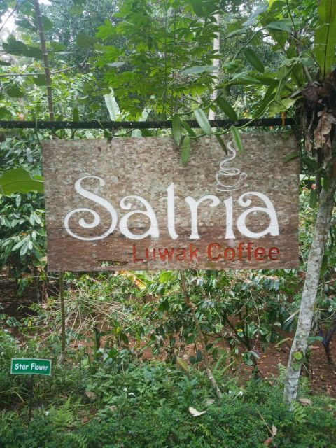 ubud-highlight-best-of-ubud-day-tour