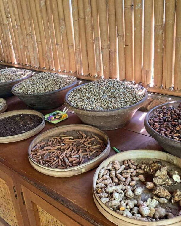 ubud-highlight-best-of-ubud-day-tour