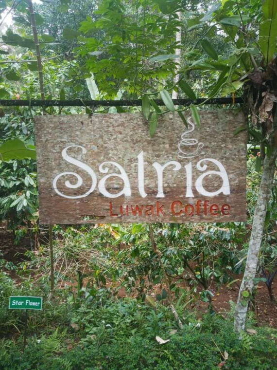 ubud-highlight-best-of-ubud-day-tour