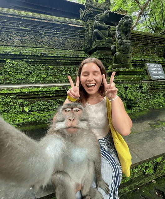 ubud-highlight-nature-wildlife-swing-waterfall