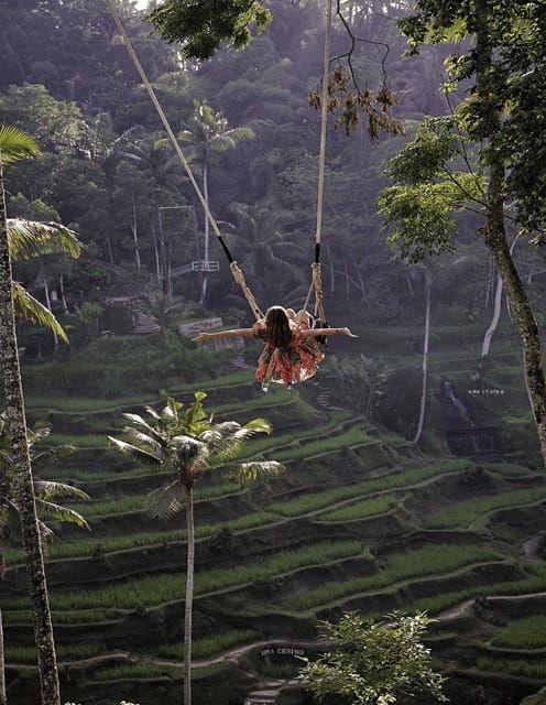 ubud-highlight-nature-wildlife-swing-waterfall