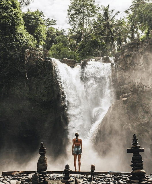 ubud-highlight-nature-wildlife-swing-waterfall