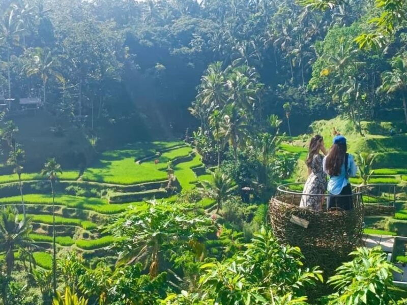 ubud-highlight-private-day-tour