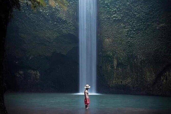 Ubud Highlight Private Tour with Transfer - The Inside Scoop on the Ubud Highlight Private Tour