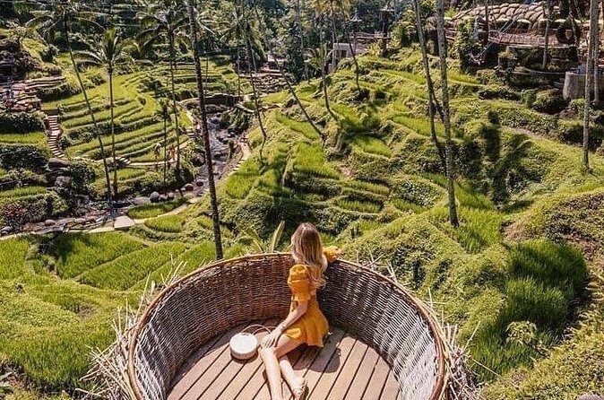 Ubud Highlight Private Tour with Transfer - FAQs