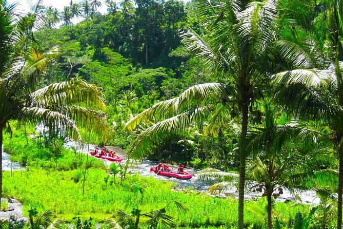 Ubud Highlights Day Tour with Bali ATV and Rafting - Potential Drawbacks