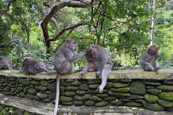 Ubud Highlights Private Day Tour - The Practical Side: What Makes This Tour Stand Out