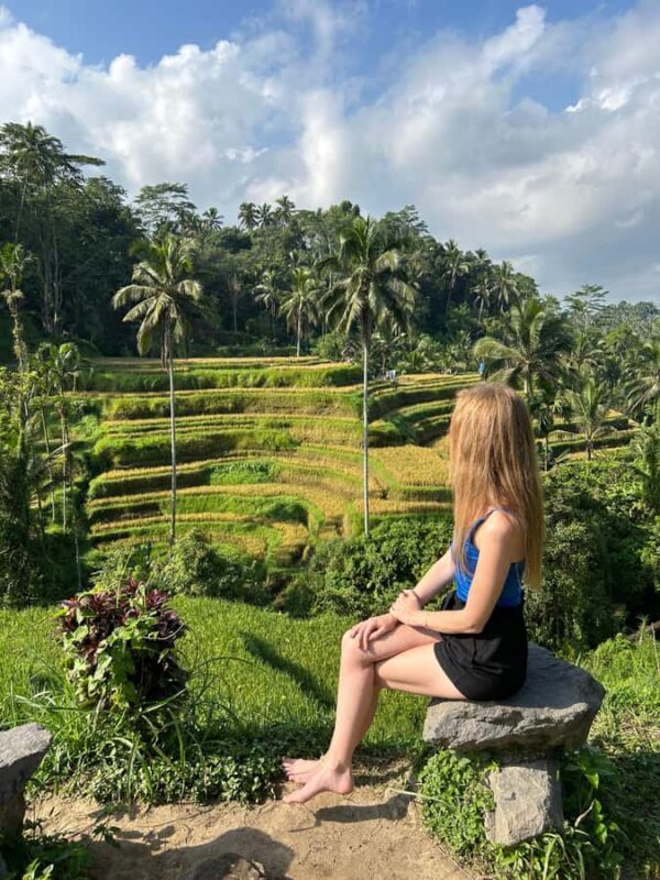 Ubud: Highlights Private Tour Ubud Area With Transfer Hotel - A Closer Look at the Ubud Highlights Private Tour