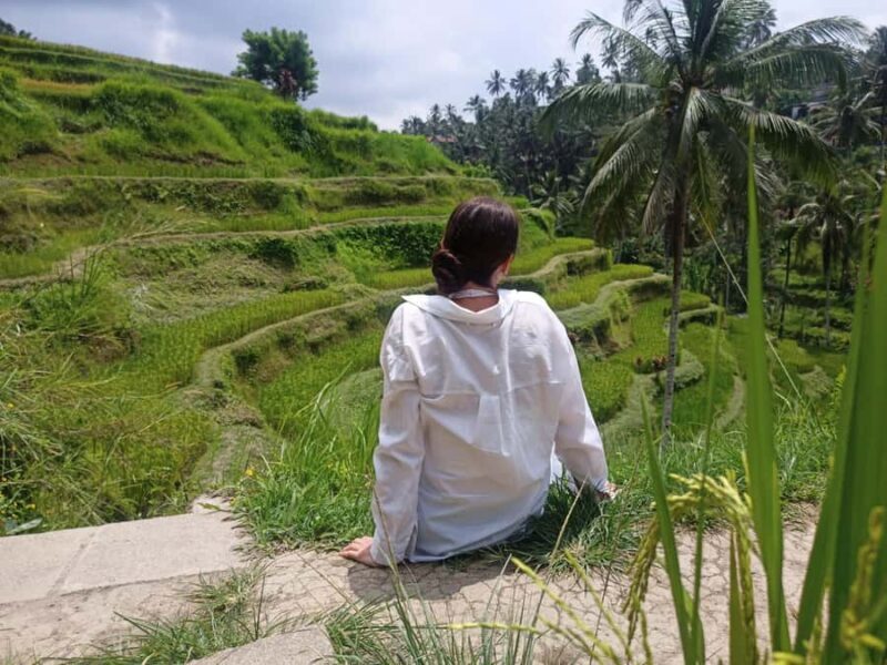 Ubud Highlights: The Ultimate Balinese Experience - Discovering Ubud: A Balance of Nature and Culture