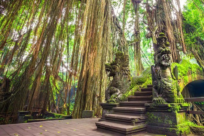 Ubud Holy Spring Temple Blissful Cleansing - Key Points
