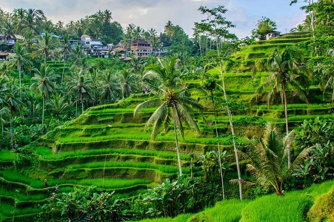 Ubud Holy Spring Temple Blissful Cleansing - Exploring the Itinerary in Detail