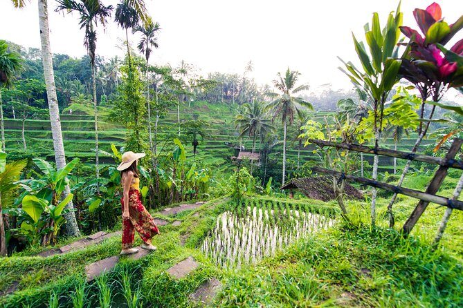 Ubud Iconic Full Day Tour Monkey Forest Rice Terraces Waterfalls - Key Points