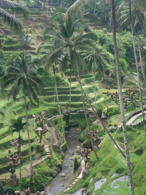 ubud-in-1-day-explore-the-charm-private-all-inclusive