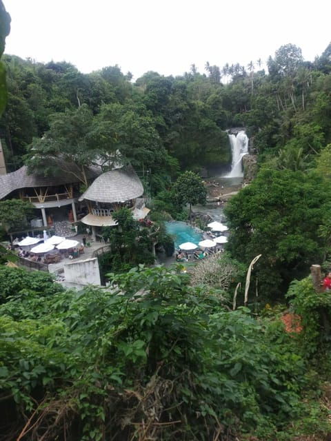 ubud-in-1-day-explore-the-charm-private-all-inclusive