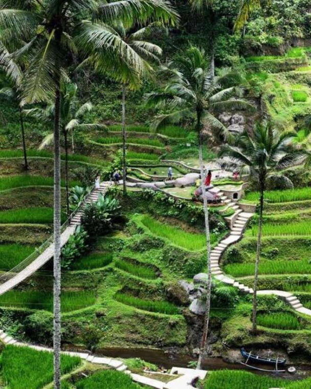 ubud-jeep-sunrise-4wd-private-tour-with-breakfast