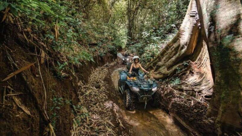 ubud-jungle-atv-adventure-waterfall-gorilla-cave-and-lunch
