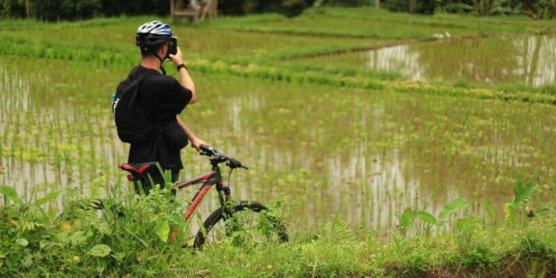 ubud-jungle-best-quad-bike-atv-adventures