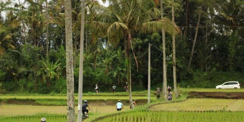 ubud-jungle-best-quad-bike-atv-adventures