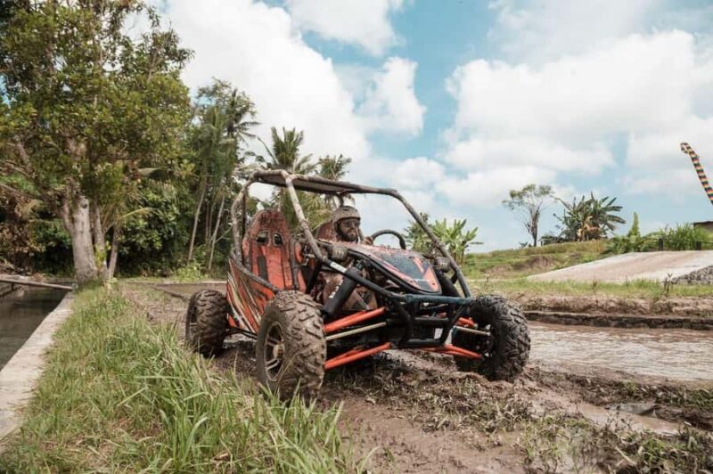 Ubud: Jungle Mud Buggy, Waterfall & Cretya Pool Private Tour - Who Should Book This Tour?