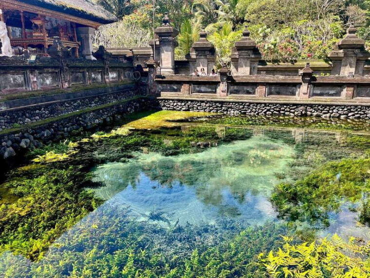 ubud-jungle-swing-rice-terrace-water-temple-waterfall