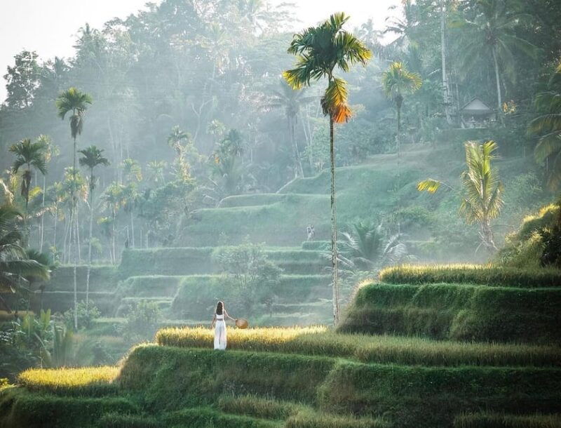 ubud-kanto-lampo-tukad-cepung-rice-terrace-batuan-temple