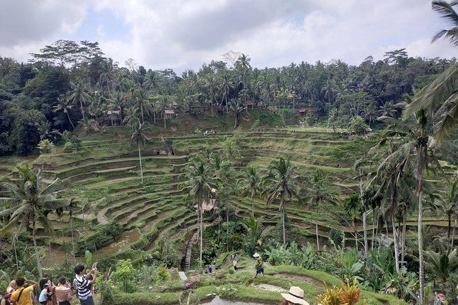 Ubud, Kintamani Volcanos Bali tour - The Itinerary in Detail