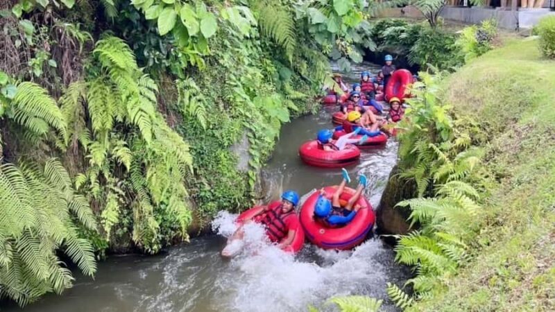 Ubud: Lazy Cave River Tubing and Zipline in Rice Terrace - Key Points