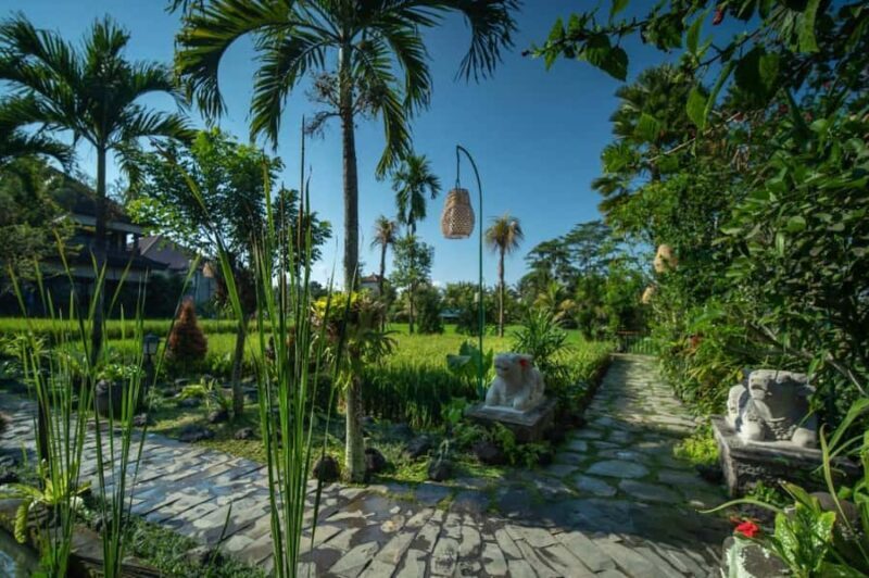 Ubud: Luxury Spa Massage Relaxing Package Amidst Rice Field - Who Should Consider This Spa Experience?