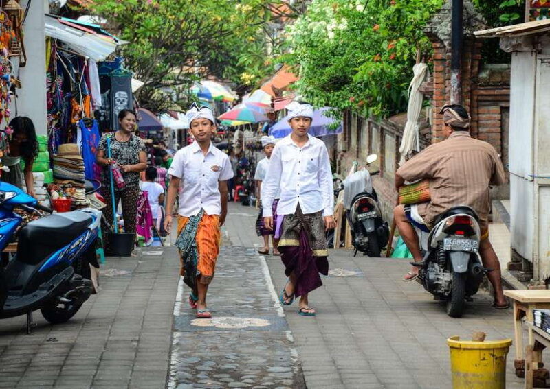 ubud-monkey-forest-ceking-rice-terraces-and-more-full-day