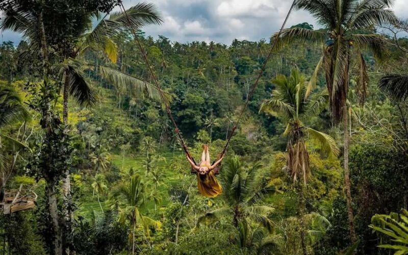 Ubud: Monkey Forest, Cretya Pool & Zipline Shared Tour - Final Thoughts