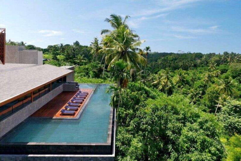 ubud-monkey-forest-habitat-bistro-dining-experience